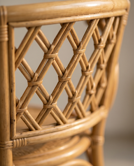 Rotan diningset