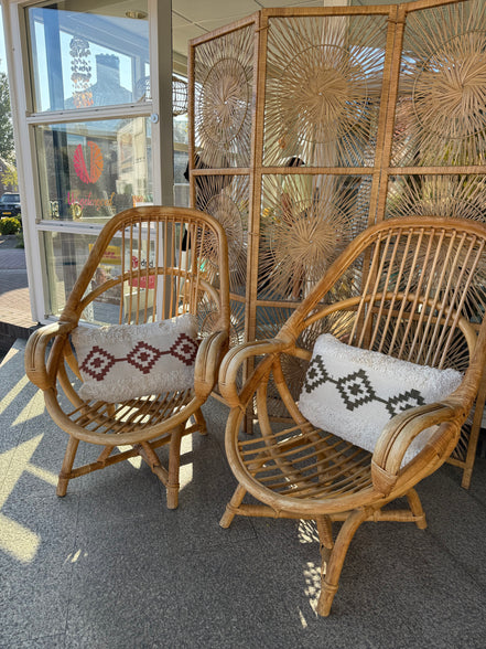 Unieke Rotan stoelen