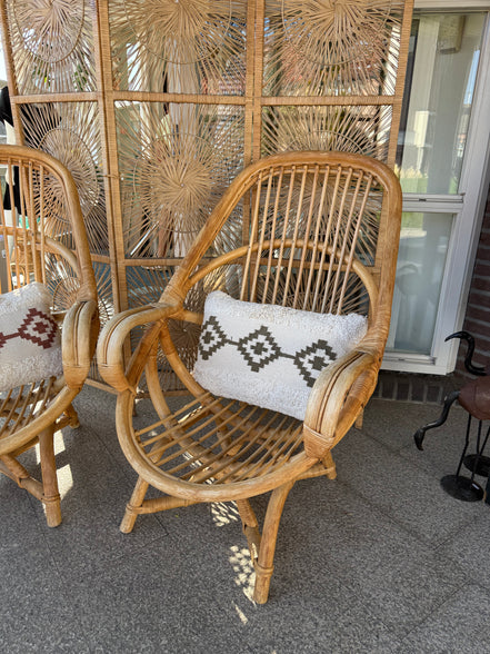 Unieke Rotan stoelen