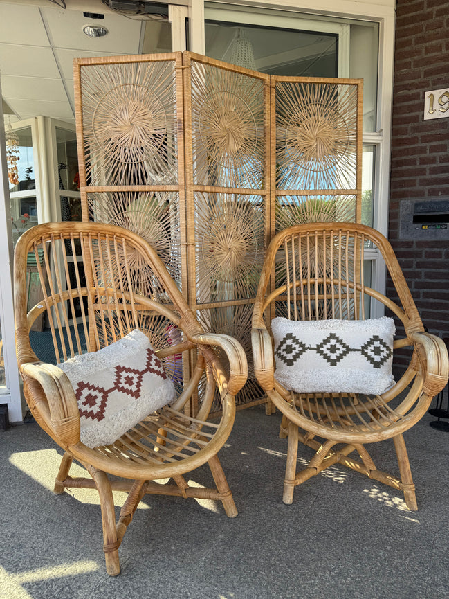 Unieke Rotan stoelen