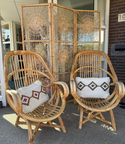 Unieke Rotan stoelen