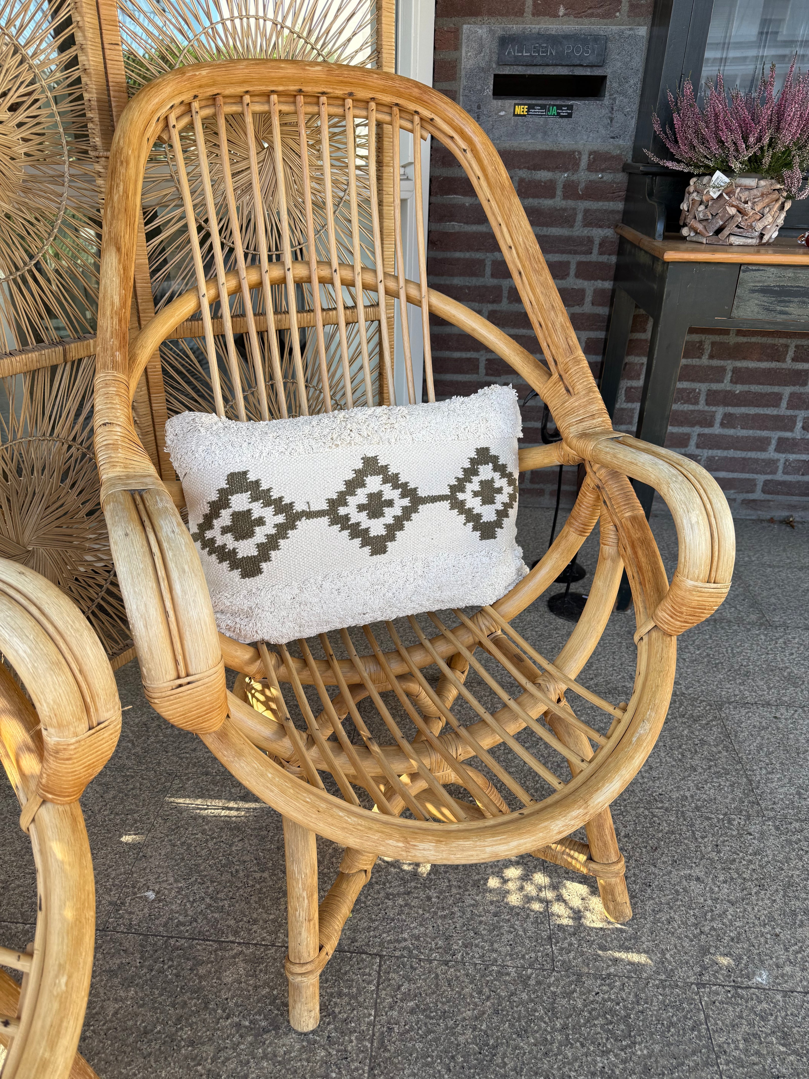 Unieke Rotan stoelen