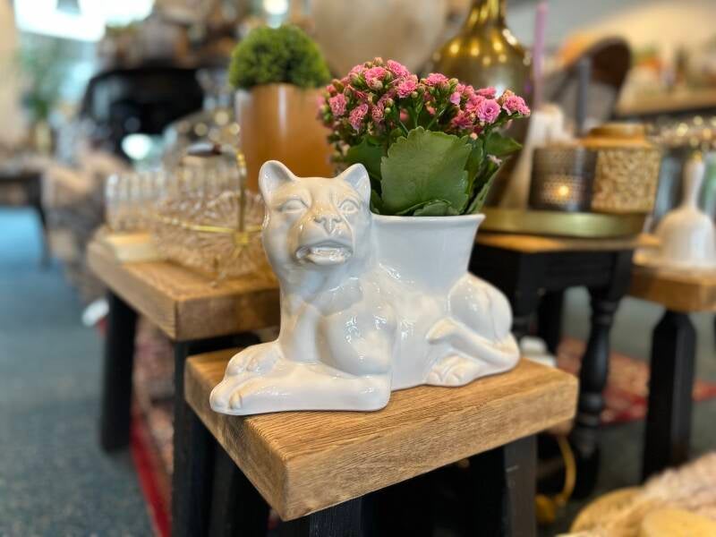 Kattenbloempot in Delfts wit porselein